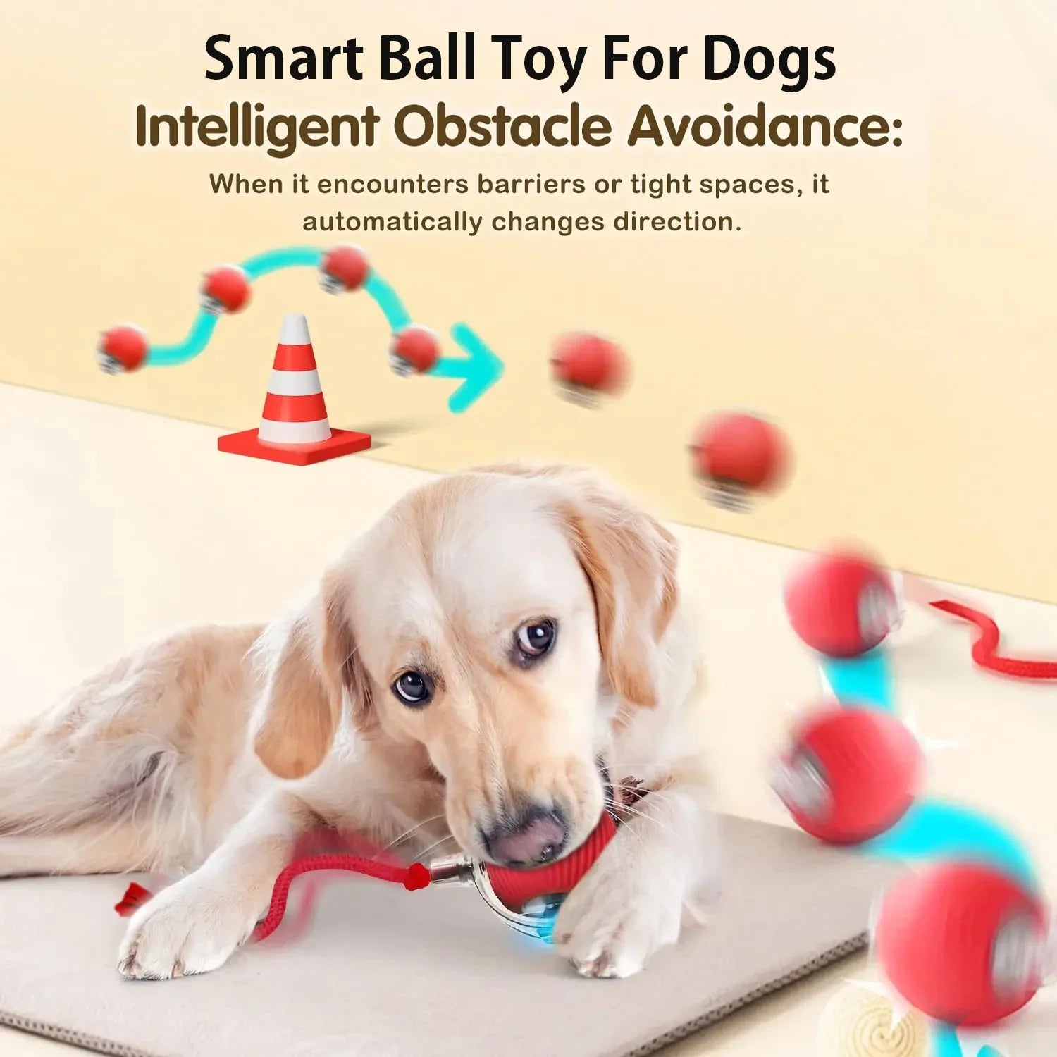 Smart Dog Play Ball