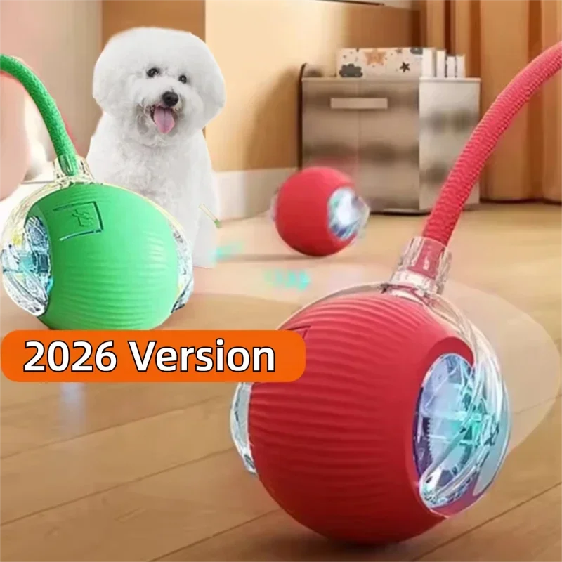 Smart Dog Play Ball