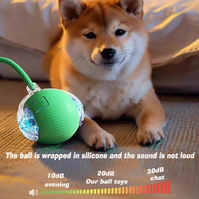 Smart Dog Play Ball